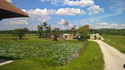 Resort Mae Salong