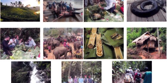 jungle thailand trekking