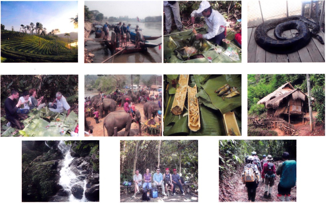 jungle thailand trekking
