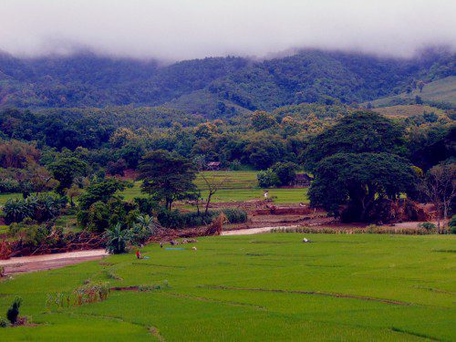 Chiang mai - Nan (ecoturismo in thailandia)