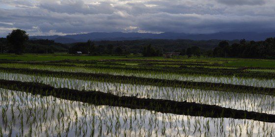 ecoturismo in thailandia