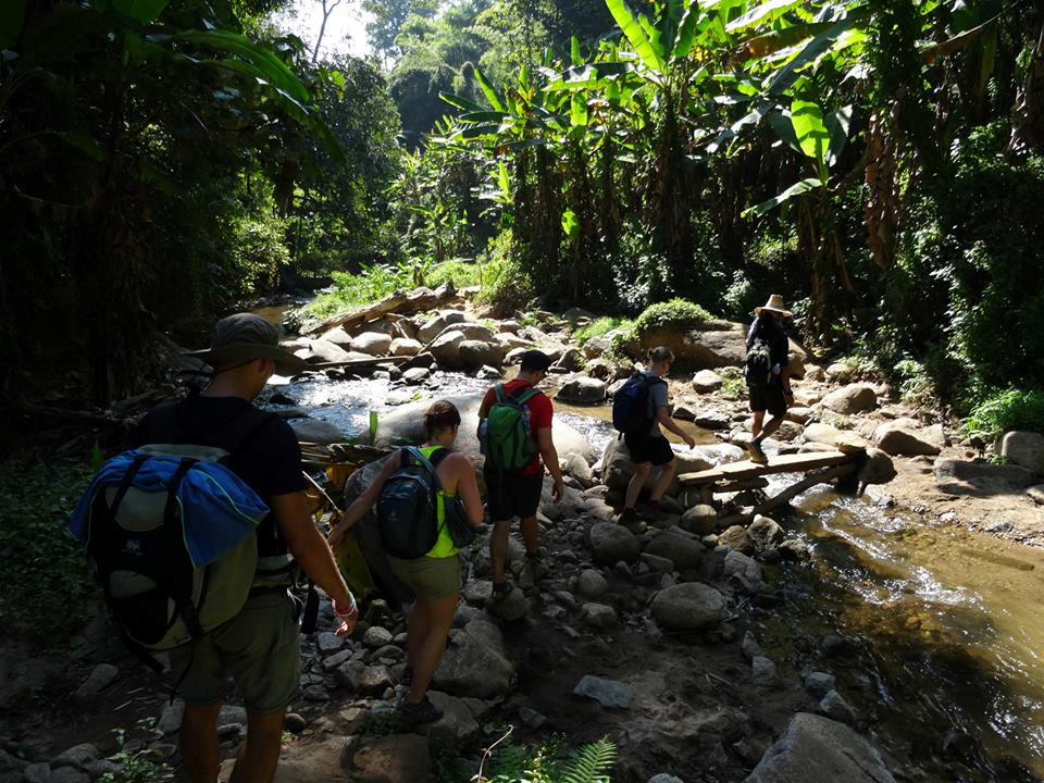 Trekking nella giungla a Chiang Mai