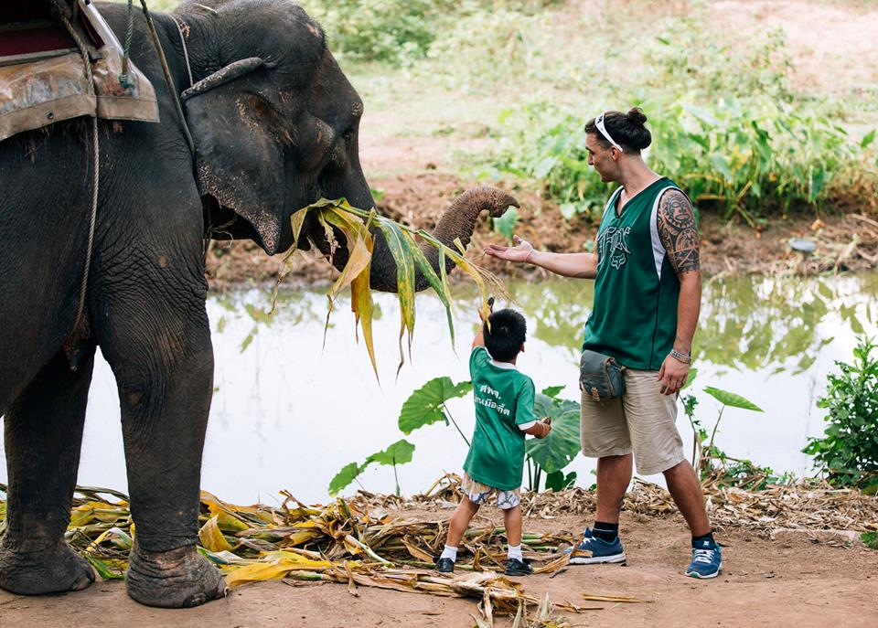Elefanti e fauna selvatica al Trekking a Chiang mai