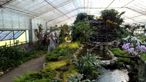 Queen Sirikit Botanic garden 