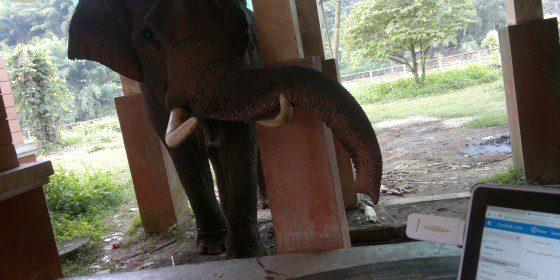 Agenzia viaggi online Thailandia