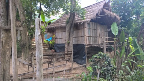villaggio karen, trekking nella giungla