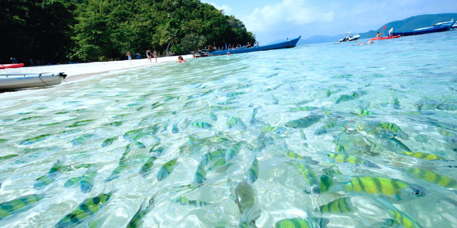 Tour Phuket