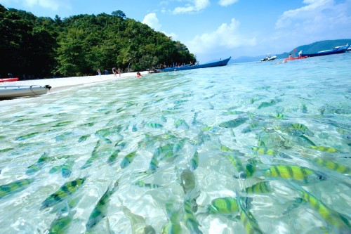 Coral Island Phuket Thailand