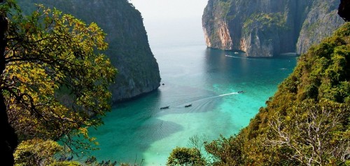 Phi Phi Maya Bay Bamboo Island Tour