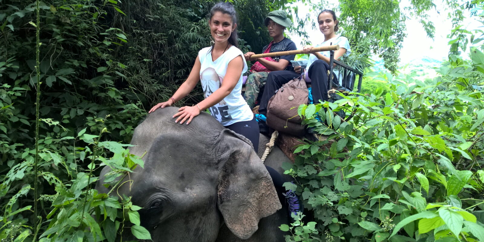 trekking nella giungla, escursione in elefante