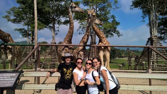 wp_20161118_10_31_50_pro