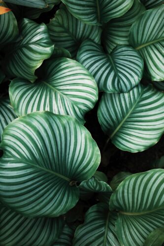 thailandia top 10 attrazioni in thailandia