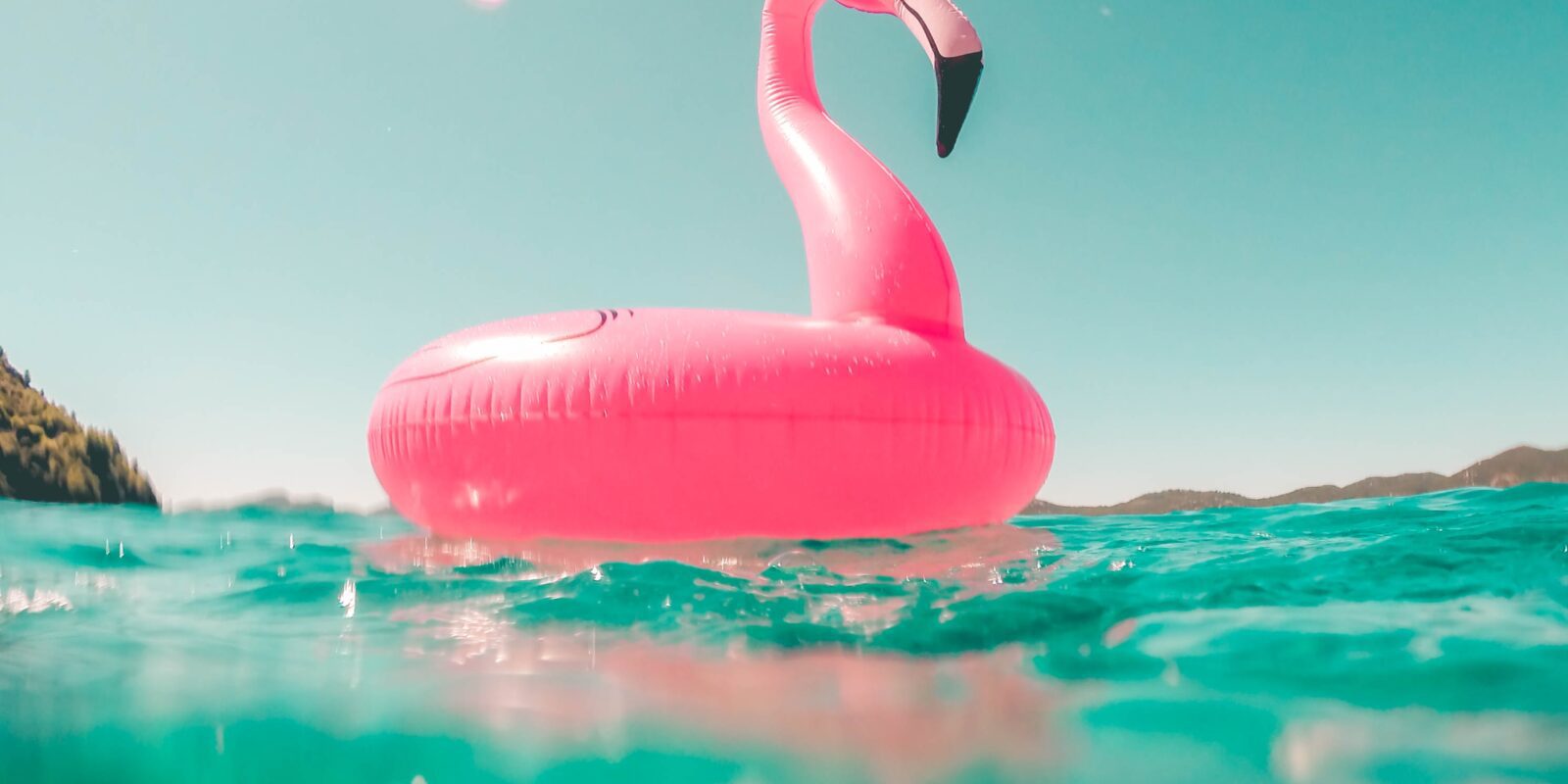 Un elegante fenicottero rosa che galleggia graziosamente sull'acqua. La sua silhouette distintiva si staglia contro un cielo sereno, creando un'immagine affascinante di grazia e bellezza. Questa foto cattura la maestosità di uno dei simboli più iconici della fauna selvatica, offrendo una visione incantevole di questo volatile dalle piume vivaci. Immagina di essere circondato da uno scenario idilliaco, dove la natura si manifesta in tutto il suo splendore. Il fenicottero, con la sua eleganza senza tempo, ci ricorda la meraviglia del regno animale e l'armonia che possiamo trovare nella natura.
